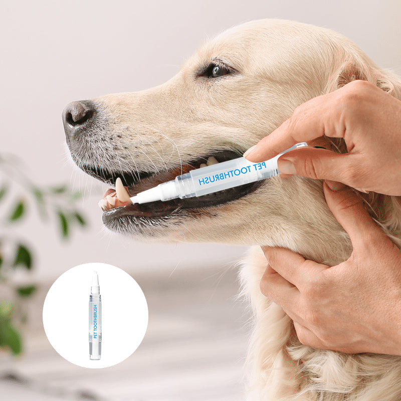 New improved toothbrush pen for pets | Bowlift
