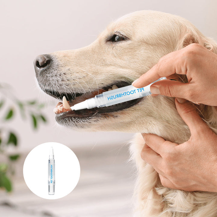 New improved toothbrush pen for pets | Bowlift
