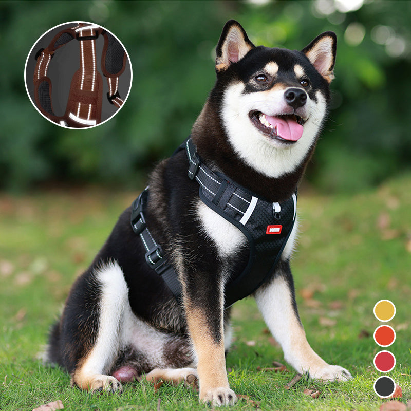 Reflective Dog Harness | Bowlift