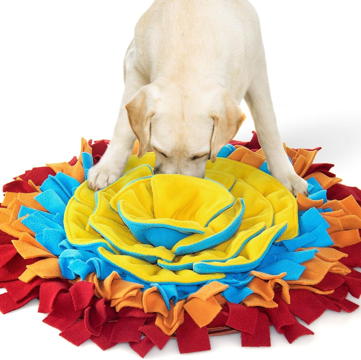 ForageMate • Interactive Dog Snuffle Feeding Mat - Interactive Dog Snuffle Feeding Mat - BowLift