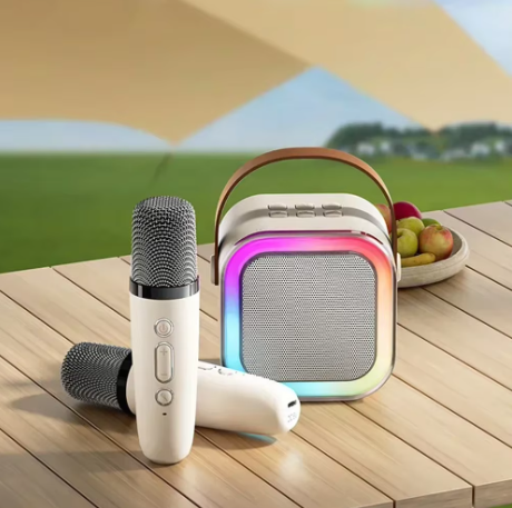 BowLift | Karaoke Set – Wireless Microphones with Portable Bluetooth Speaker
