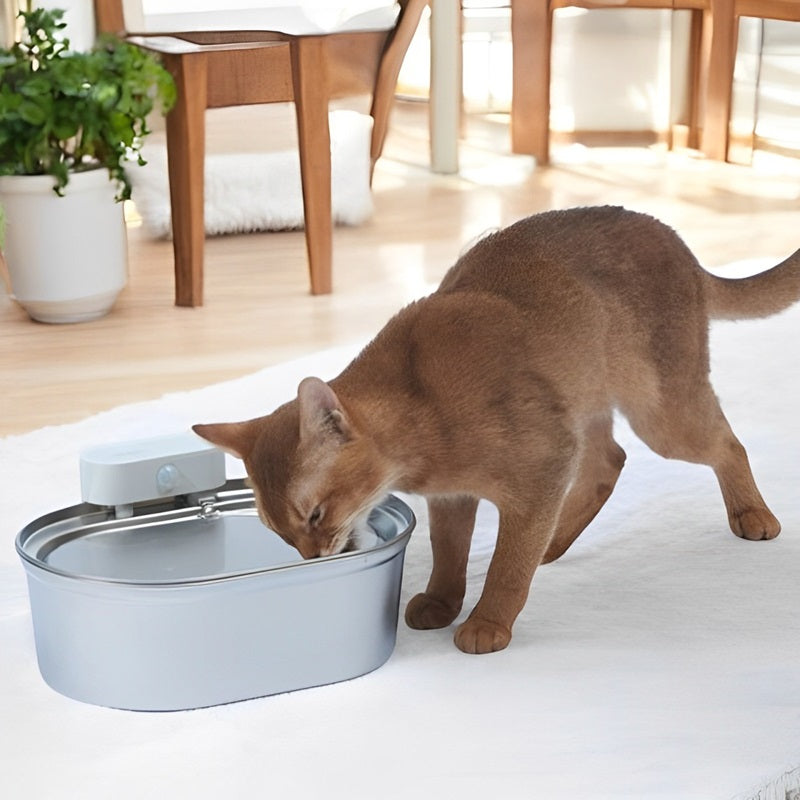 BowLift | Wireless Automatic Pet Water Fountain