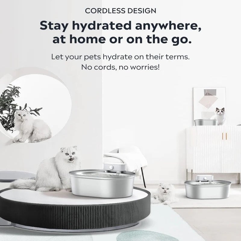 BowLift | Wireless Automatic Pet Water Fountain