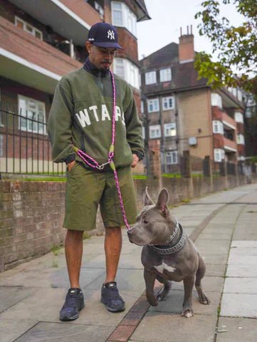 BowLift | FREEDOMLEAS – Hands-Free Dog Leash with Waist Belt