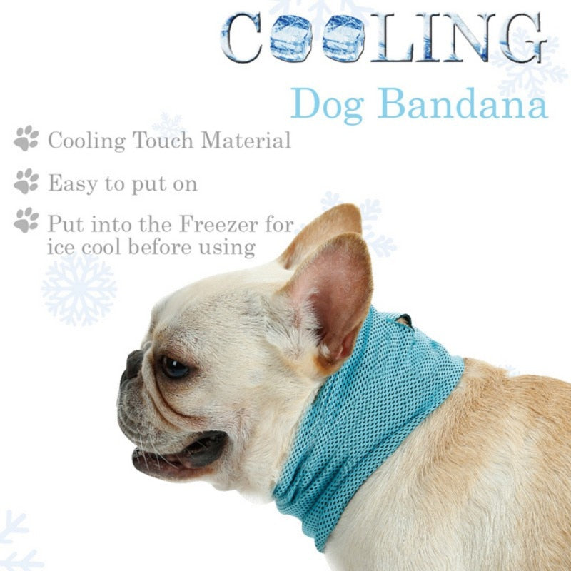 Cooling Bandana (CS15) | Bowlift