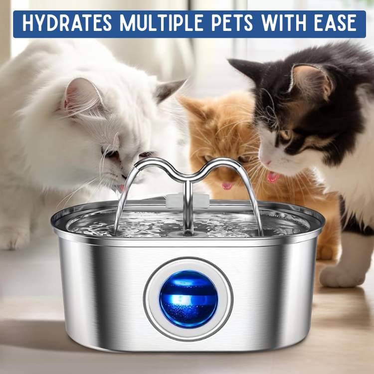 Cats Water Fountain made of Stainless Steel – Quiet, Hygienic and BPA-free – 2L Capacity | Bowlift