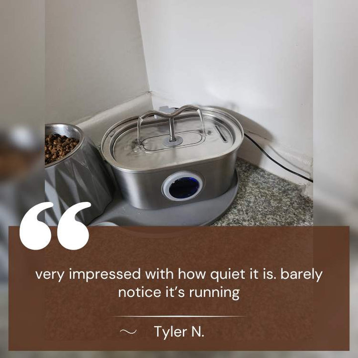 Cats Water Fountain made of Stainless Steel – Quiet, Hygienic and BPA-free – 2L Capacity | Bowlift
