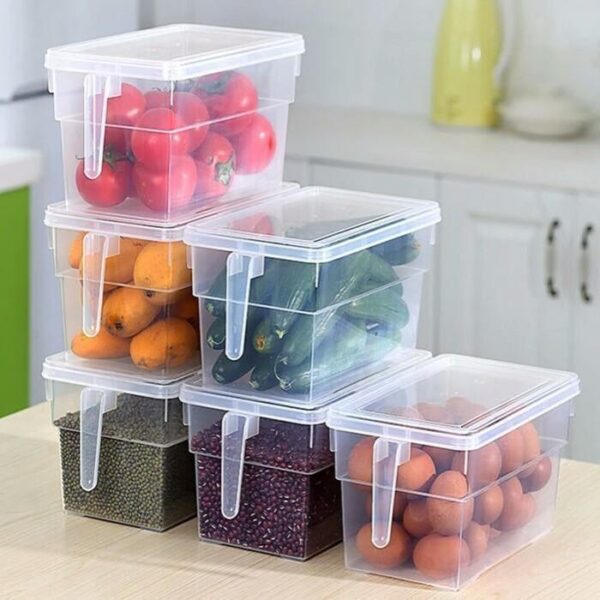Storage Freezer Box with Handle Bowlift