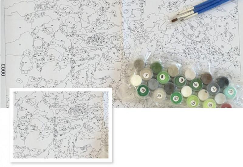 Geeky Frog - Van-Go Paint-By-Number Kit | Bowlift