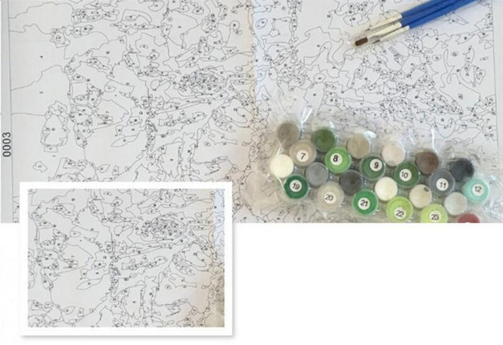 Geeky Frog - Van-Go Paint-By-Number Kit | Bowlift