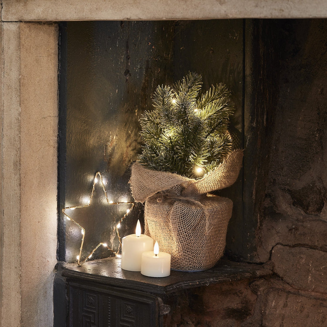 BowLift | Christmas Decorations Mini Frosted Tree Lights