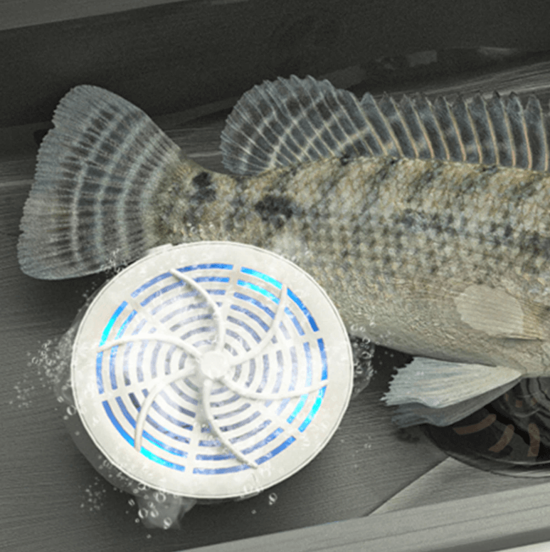 BowLift | Battery-powered food cleaning agent Effective removal of pesticides and bacteria