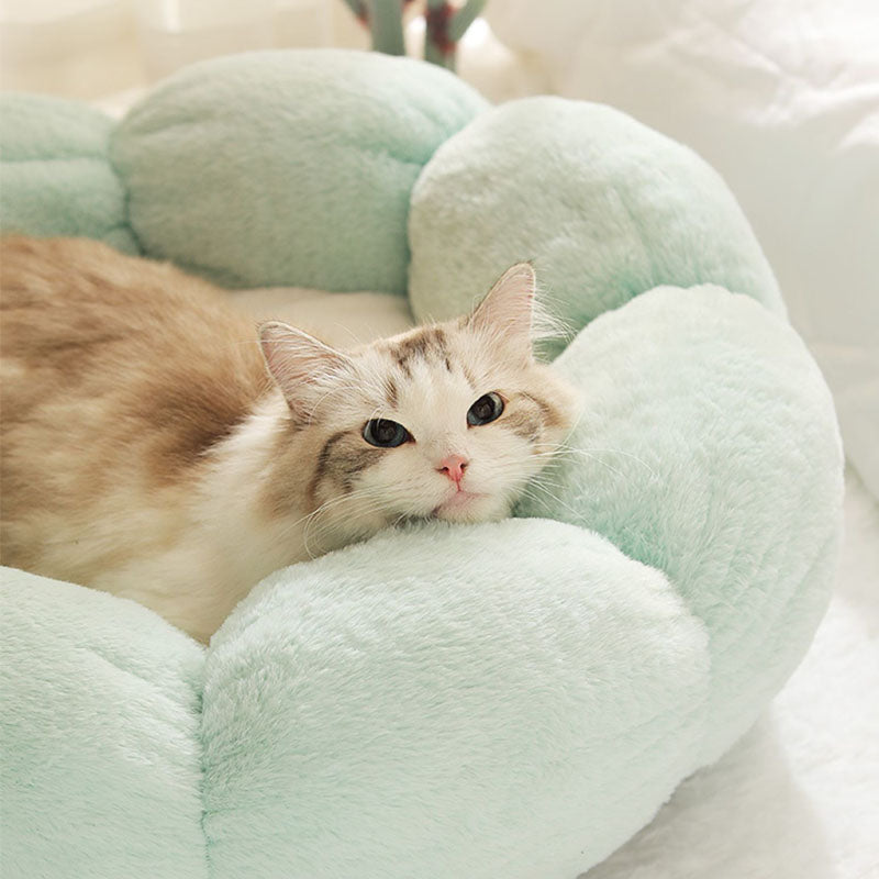 BowLift | Deep Sleep Flower Shape Cat Bed
