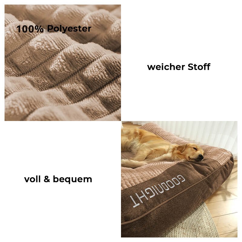 BowLift | CocoonChien | Optimal comfort for your companion