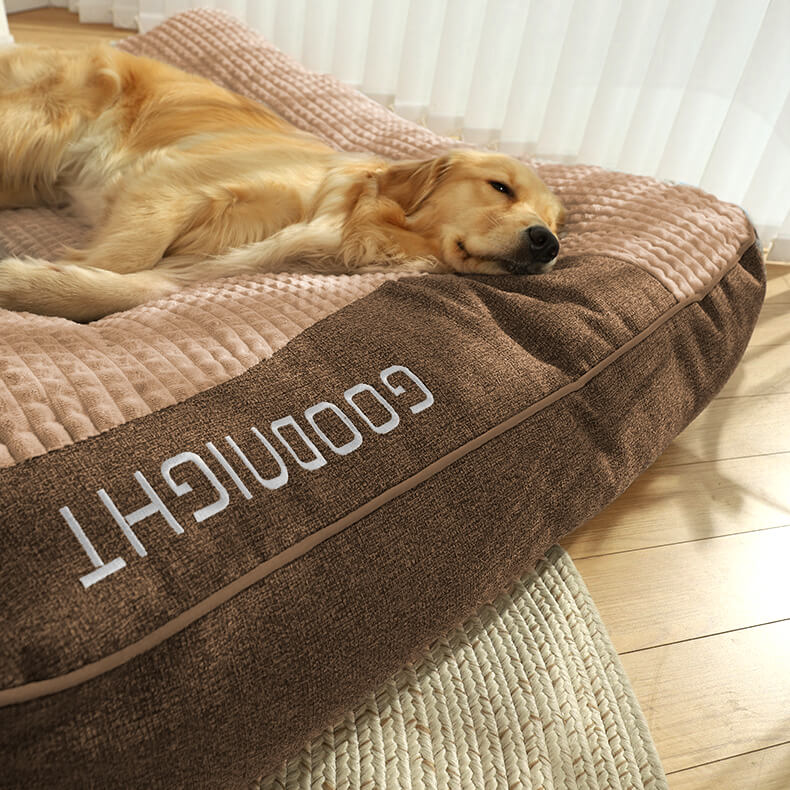 BowLift | CocoonChien | Optimal comfort for your companion