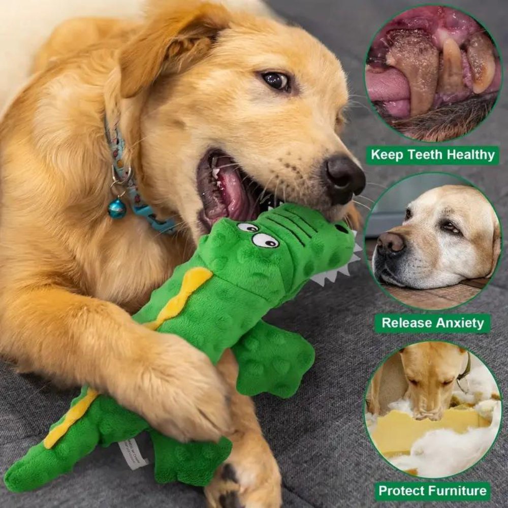 GatorChew • Crocodile Dog Toy - Crocodile Dog Toy - BowLift