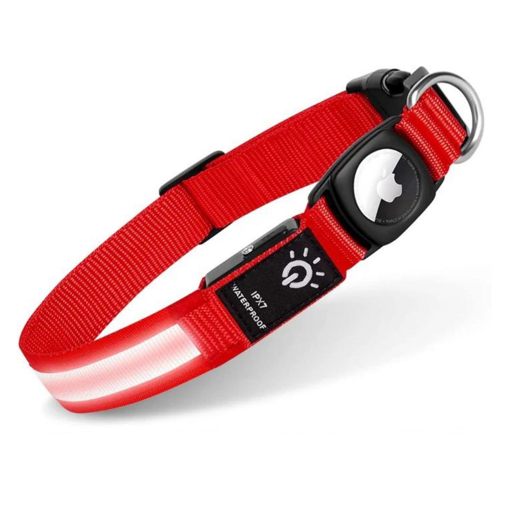 GlowGuard • AirTag Dog Collar - AirTag Dog Collar - BowLift