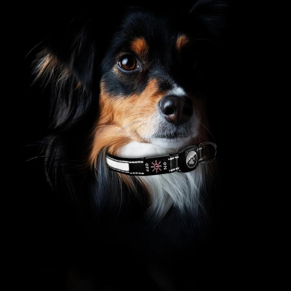 GlowGuard • AirTag Dog Collar - AirTag Dog Collar - BowLift