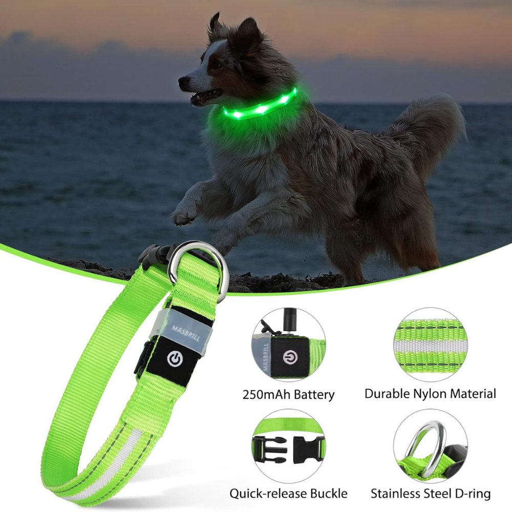 GlowGuard • AirTag Dog Collar - AirTag Dog Collar - BowLift