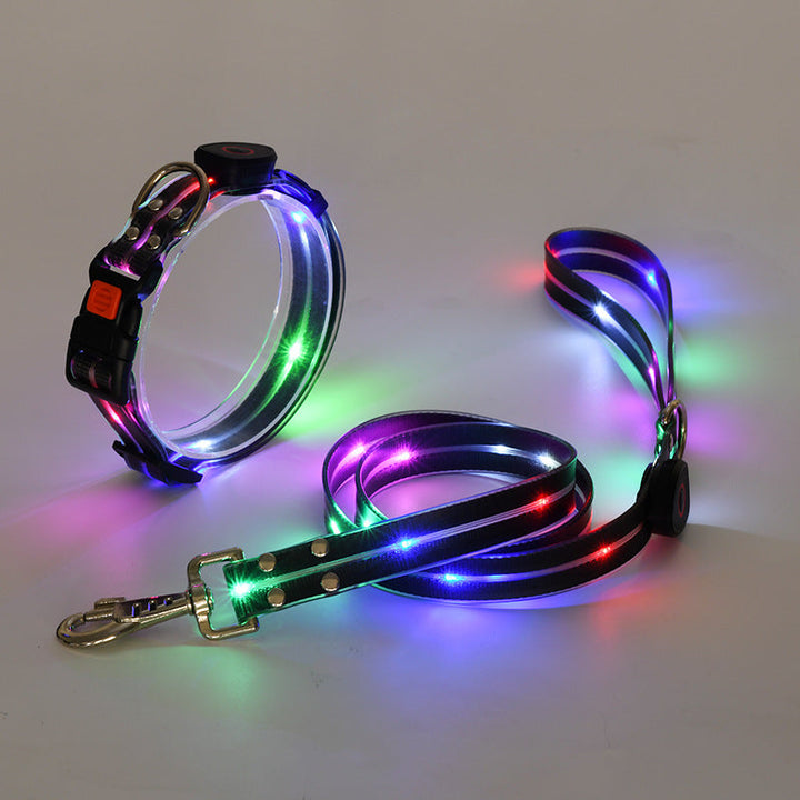 Glowing LED Dog Collar with Leash - NightBright Bowlift