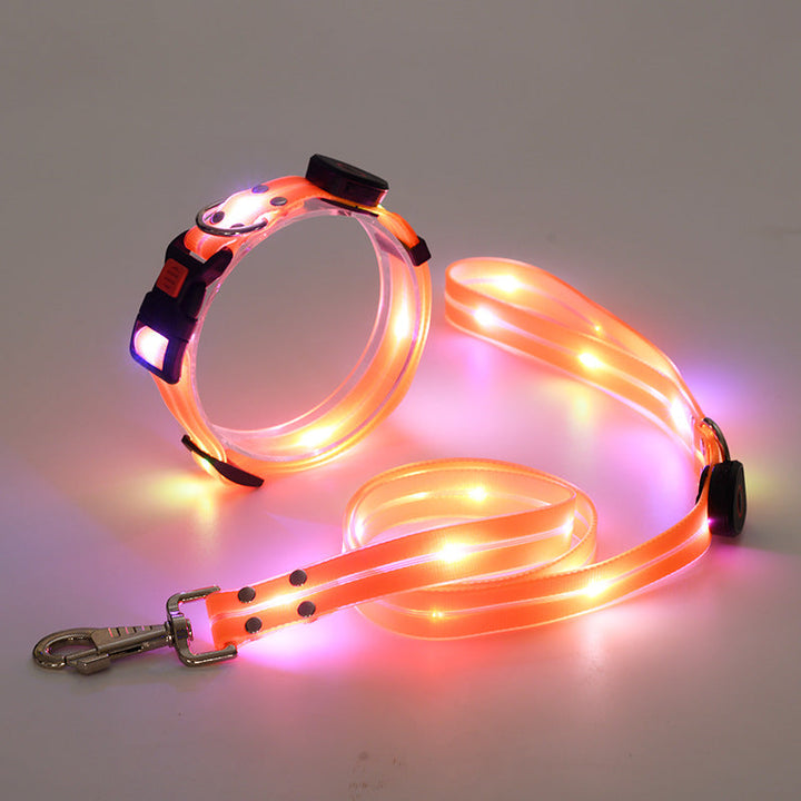 Glowing LED Dog Collar with Leash - NightBright Bowlift