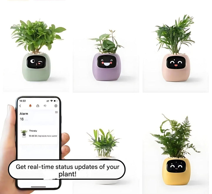 BowLift | GreenBuddy SmartPot - Automatic Smart Planter
