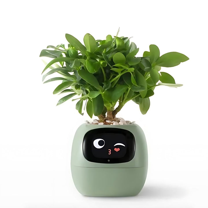 BowLift | GreenBuddy SmartPot - Automatic Smart Planter