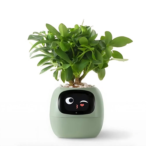 BowLift | GreenBuddy SmartPot - Automatic Smart Planter