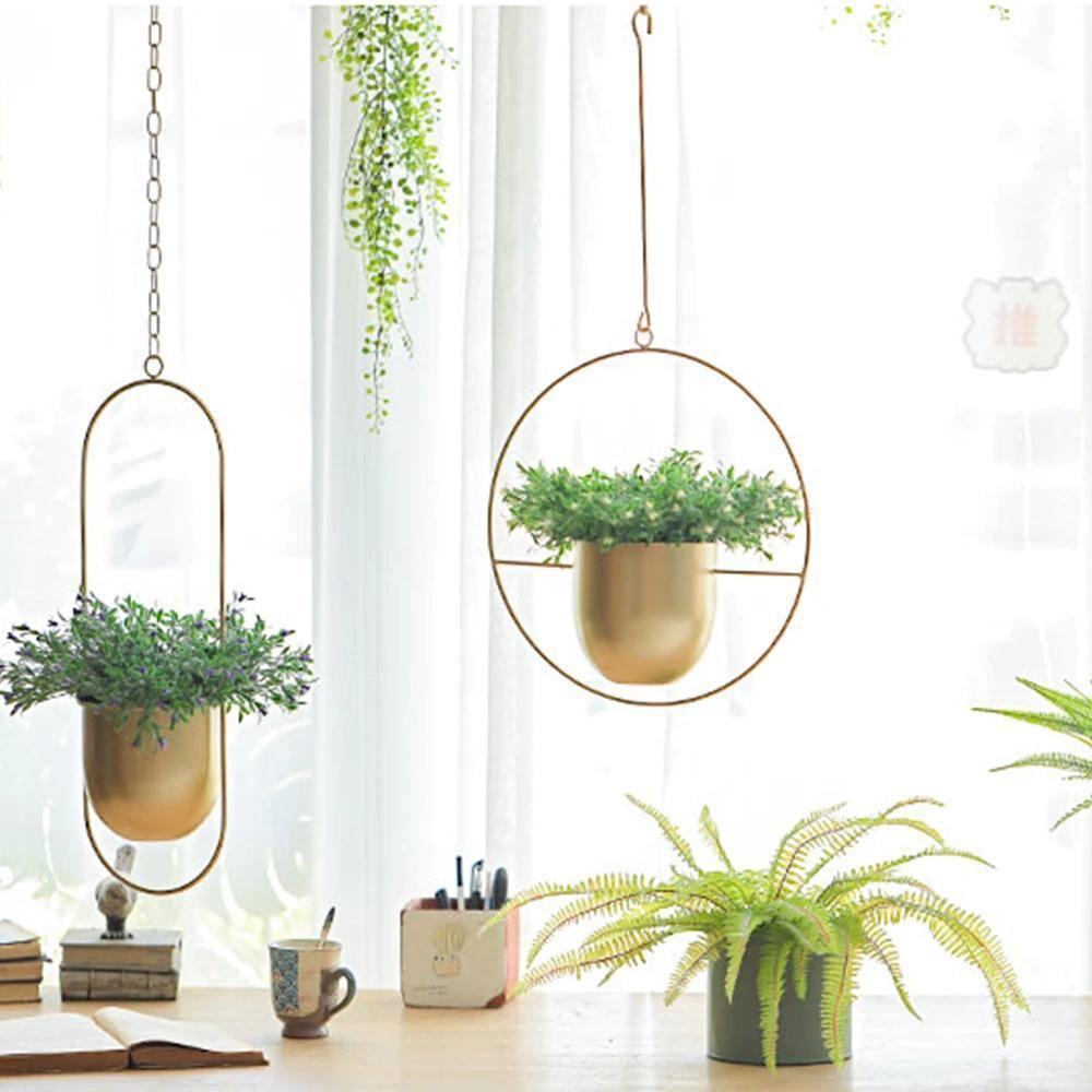 HaloRing Hanging Plant Holder – Metal Hanging Planter for Indoor and Outdoor | Bowlift