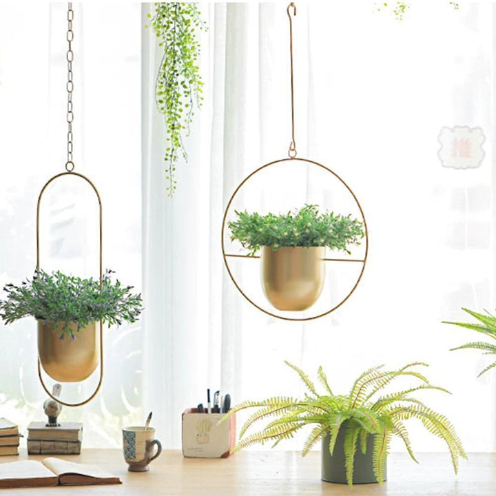 HaloRing Hanging Plant Holder – Metal Hanging Planter for Indoor and Outdoor | Bowlift