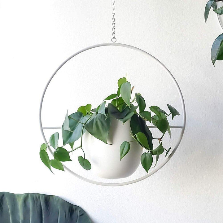 HaloRing Hanging Plant Holder – Metal Hanging Planter for Indoor and Outdoor | Bowlift