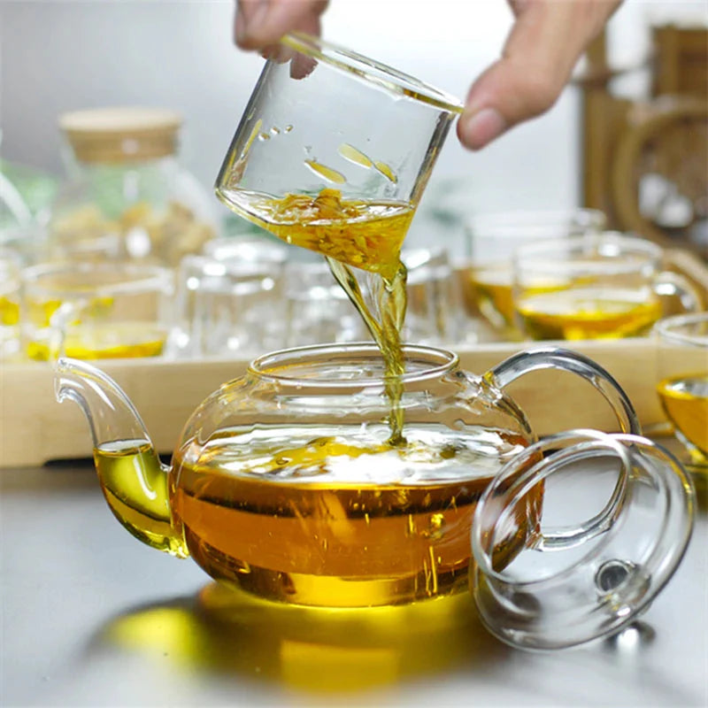 Heat Resistant Glass Tea Pot Glass Teapot with Infuser Tea Pot Set | Bowlift