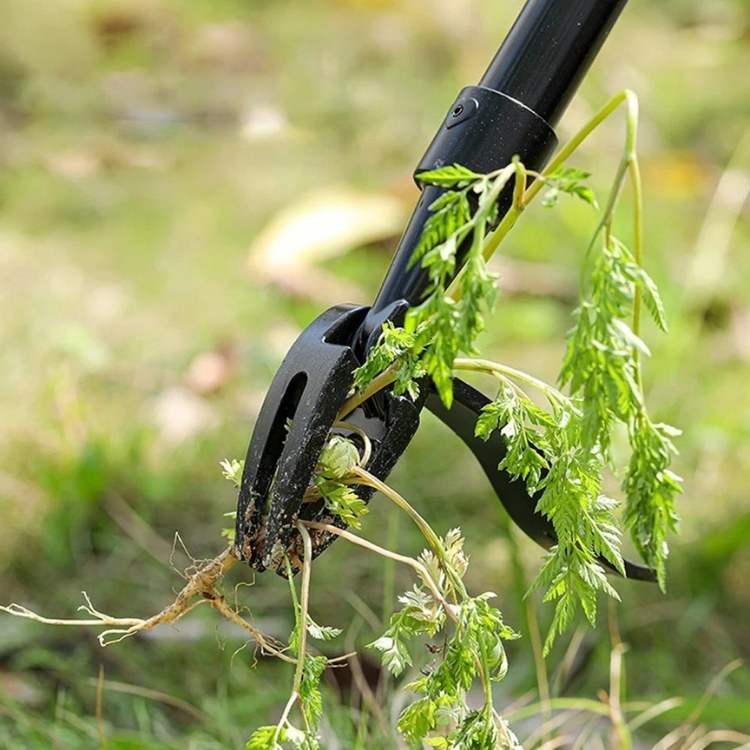 BowLift | Heavy-Duty Weed Grabber | Durable Steel Tip for Easy Root Removal in All Soil Types