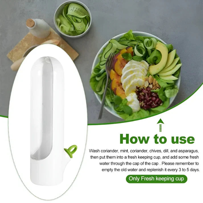 BowLift | Herb Storage Box - FreshKeep