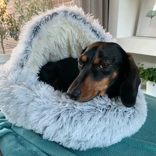 BowLift | Luxury Calming Dog Bed – Soft, Supportive & Stress-Relieving Pet Bed for Dogs