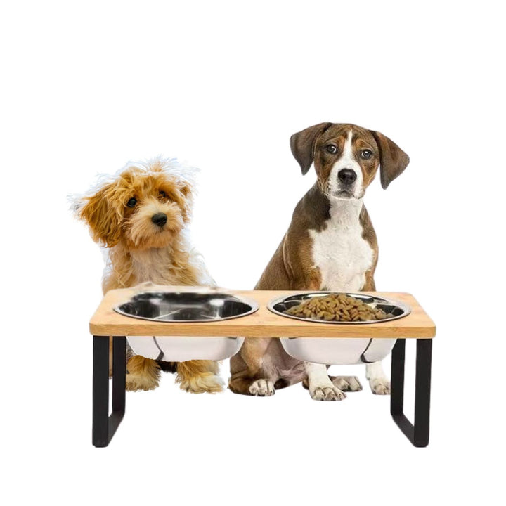 Elevated dog bowl – bamboo stand with removable stainless steel bowl | Bowlift