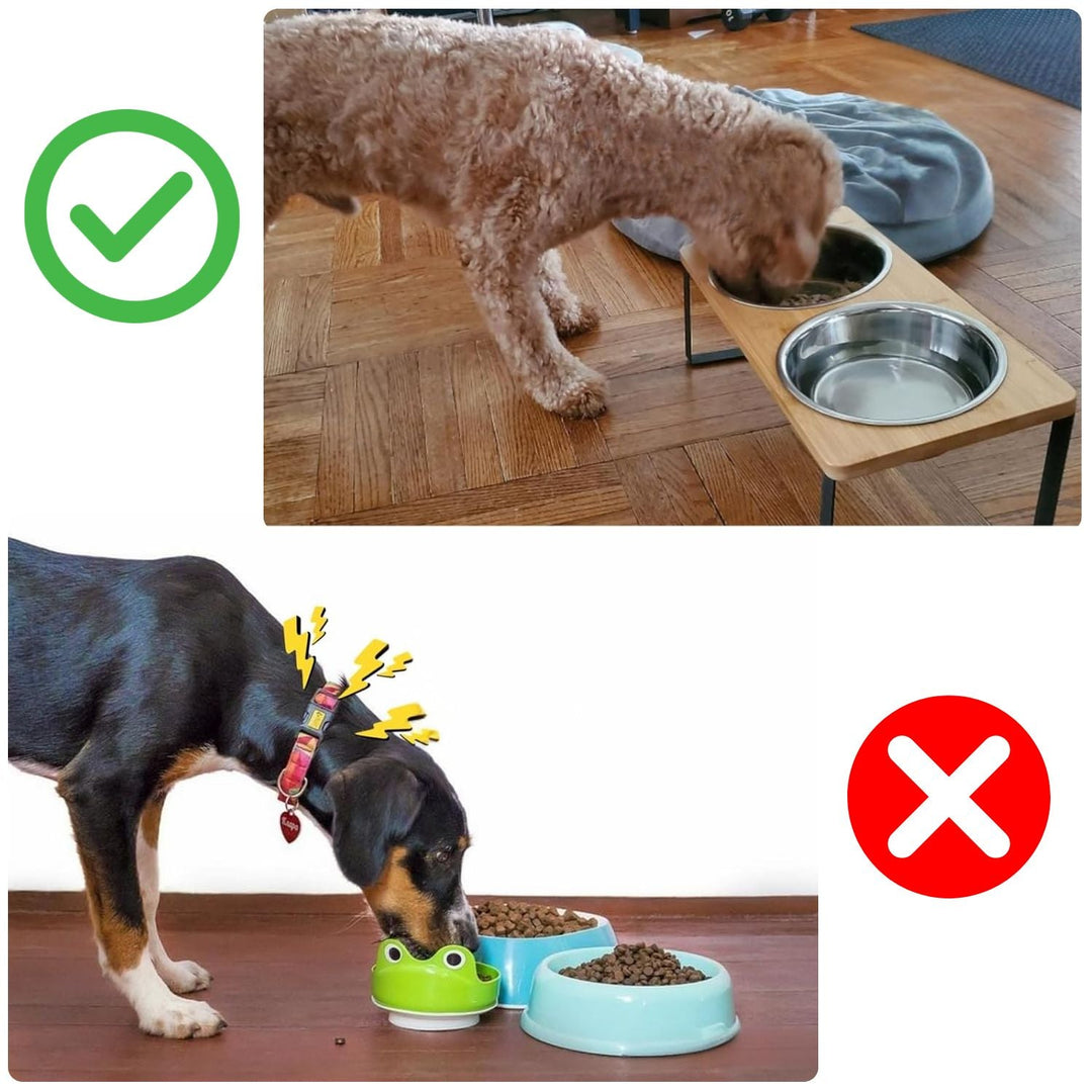 Raised Dog Food Bowl – Bamboo Stand with Removable Stainless Steel Bowls | Bowlift