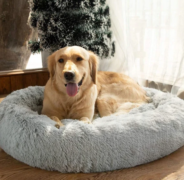 BowLift | Milowa Soft Orthopedic Pet Bed for Cats and Dogs