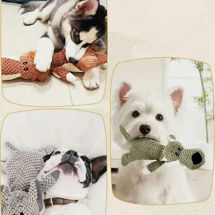 BowLift | Durable Dog Toy For Strong Teeth