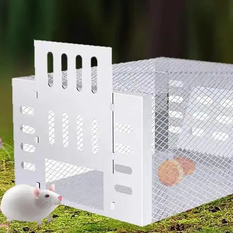 BowLift | Self-Activating Mouse Trap