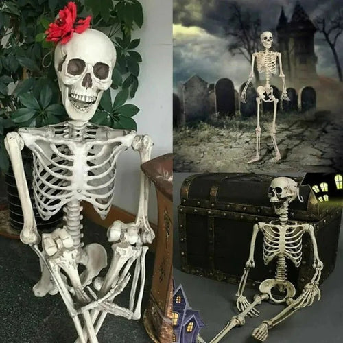 BowLift | Creepy Poseable Skeleton for Halloween Decorations