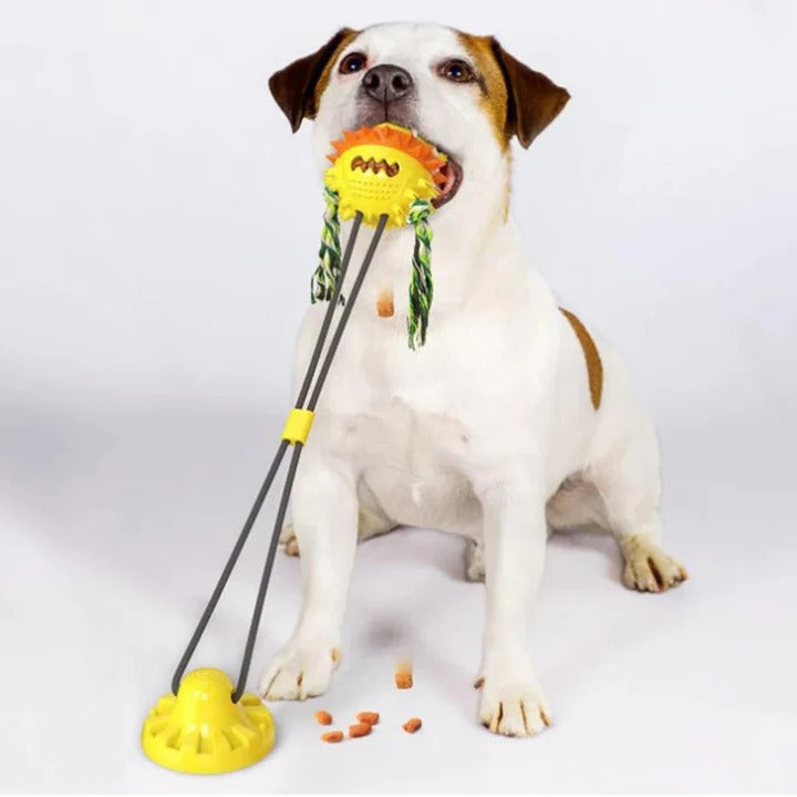 BowLift | Interactive Self-Playing Pet Toy
