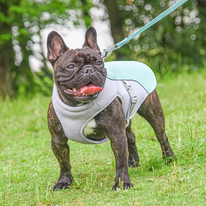BowLift | Dog Cooling Vest for Outdoor Activities