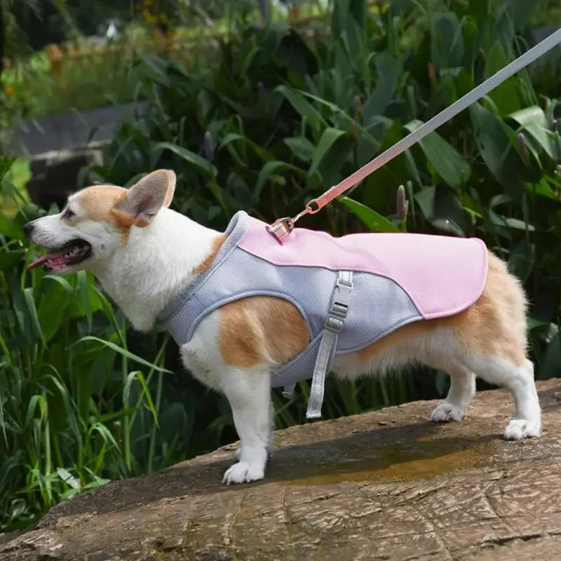 BowLift | Dog Cooling Vest for Outdoor Activities