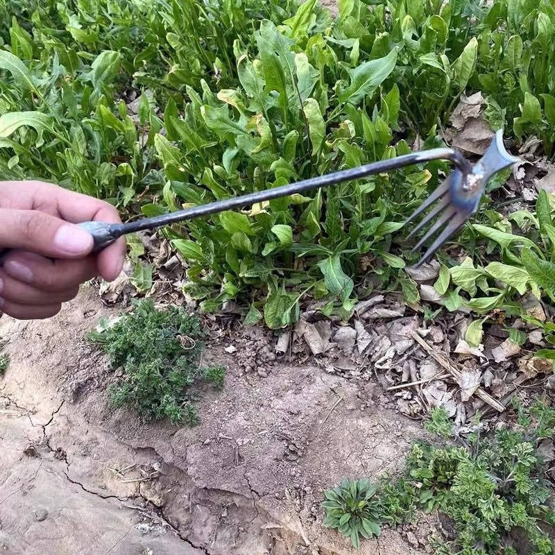 BowLift | Weed Tool Remover