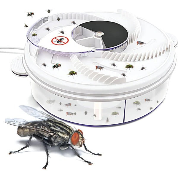 BowLift | Highly Effective Fly Trap