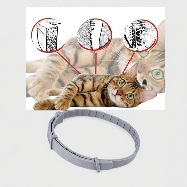 BowLift | Adjustable Pet Flea and Tick Repellent Collar – For Dogs and Cats, Water-Resistant