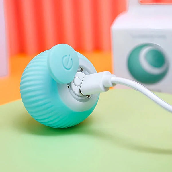 BowLift | Interactive Pet Ball, Rolls Automatically