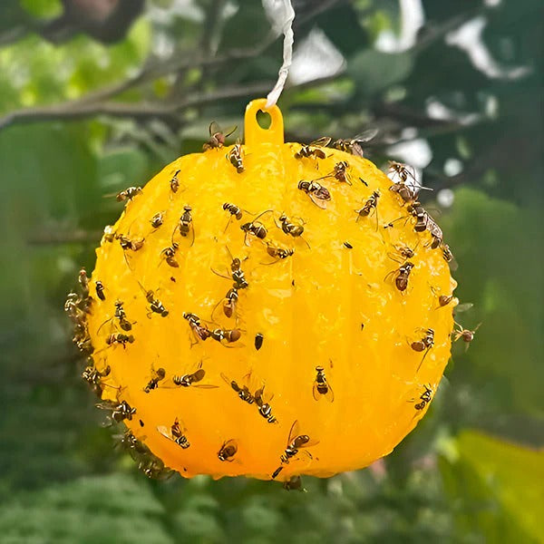 BowLift | Hanging Fly Trap with Adhesive Layer (6 Pcs)