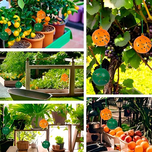 BowLift | Hanging Fly Trap with Adhesive Layer (6 Pcs)